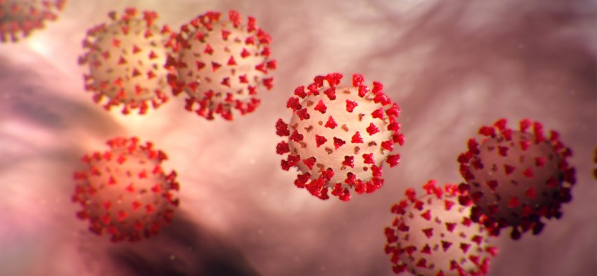 Danimarka'da koronavirüsün 31 farklı mutasyonu tespit edildi