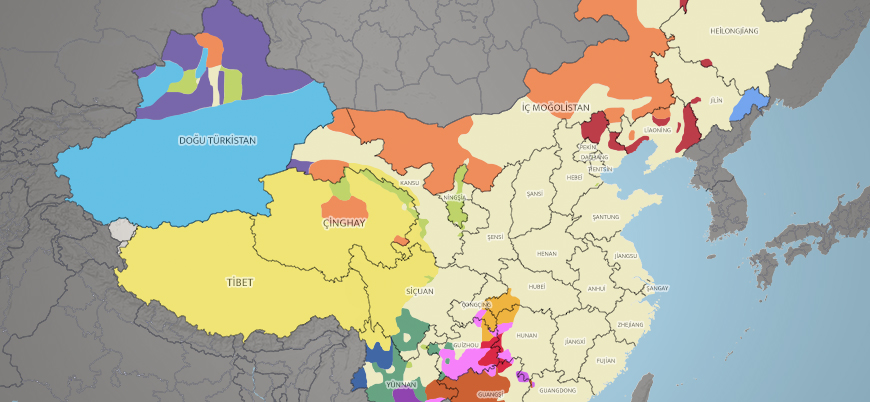 Çin etnik yapı haritası