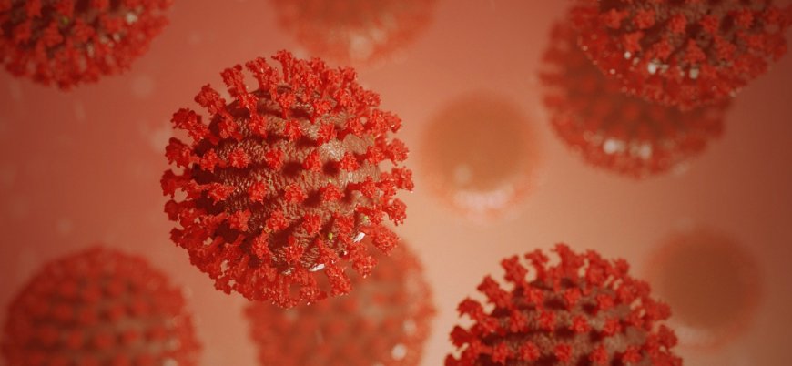 İngiltere'den Fransa'ya gelen bir kişide 'daha bulaşıcı koronavirüs türü' tespit edildi