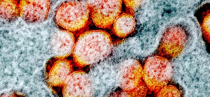 Mutasyona uğramış koronavirüs Japonya'ya sıçradı
