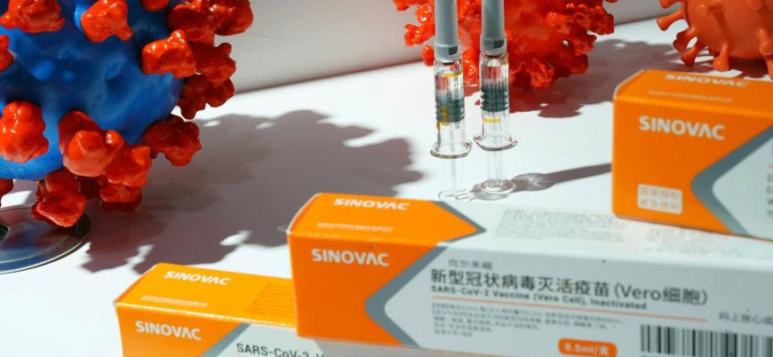 Türkiye'nin Çin'den aldığı koronavirüs aşısı hakkında ne biliniyor?