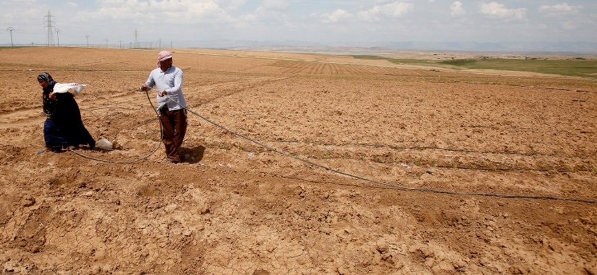 Suriye ve Irak son 70 yılın en büyük kuraklığıyla karşı karşıya
