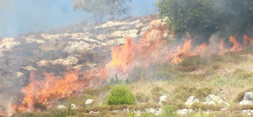 Yahudi yerleşimciler Filistinlilerin buğday tarlalarını ateşe verdi