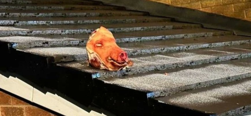 İngiltere'de Müslümanlar hedefte: Mescide kesik domuz başı atıldı