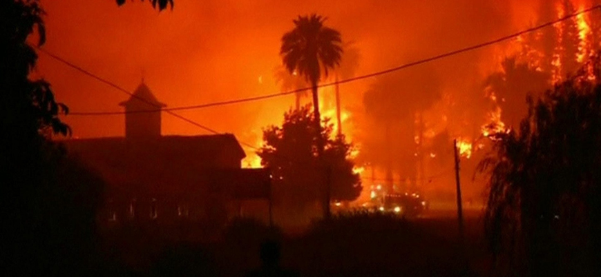 Şili'deki orman  yangınlarında ölü sayısı artıyor