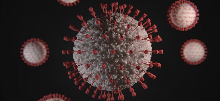 ABD: Çin Koronavirüsün kökeni hakkında daha dürüst olmalı