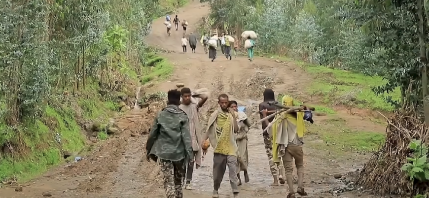 Etiyopya-Tigray savaşında 100 bini aşkın kişi can verdi