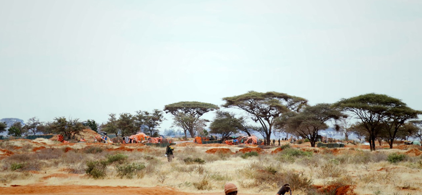Görüş | Somali'de Eş Şebab'a yönelik askeri harekatın detayları