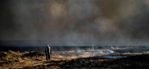 Esed rejimi İdlib kırsalında buğday tarlalarını ateşe veriyor