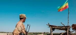 Tigray ilerleyişi durdurulamıyor: Etiyopya'da olağanüstü hal ilan edildi