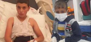 Bitlis'te sokak köpeği saldırısı: Kuduz olan çocuk uyutuluyor, durumu ağır