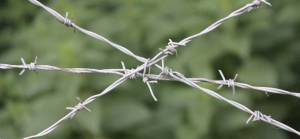 İsrail cezaevlerindeki Filistinli mahkumlar toplu açlık grevine hazırlanıyor