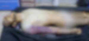 Suriye İnsan Hakları Ağı: 