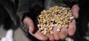 ABD'den Esed'in kuzenlerine 'captagon' yaptırımı