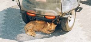 Meteoroloji'den 'sıcak hava' uyarısı