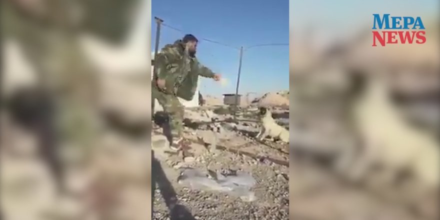 Esed rejimi askerleri köpeği yakarak vahşice öldürdü